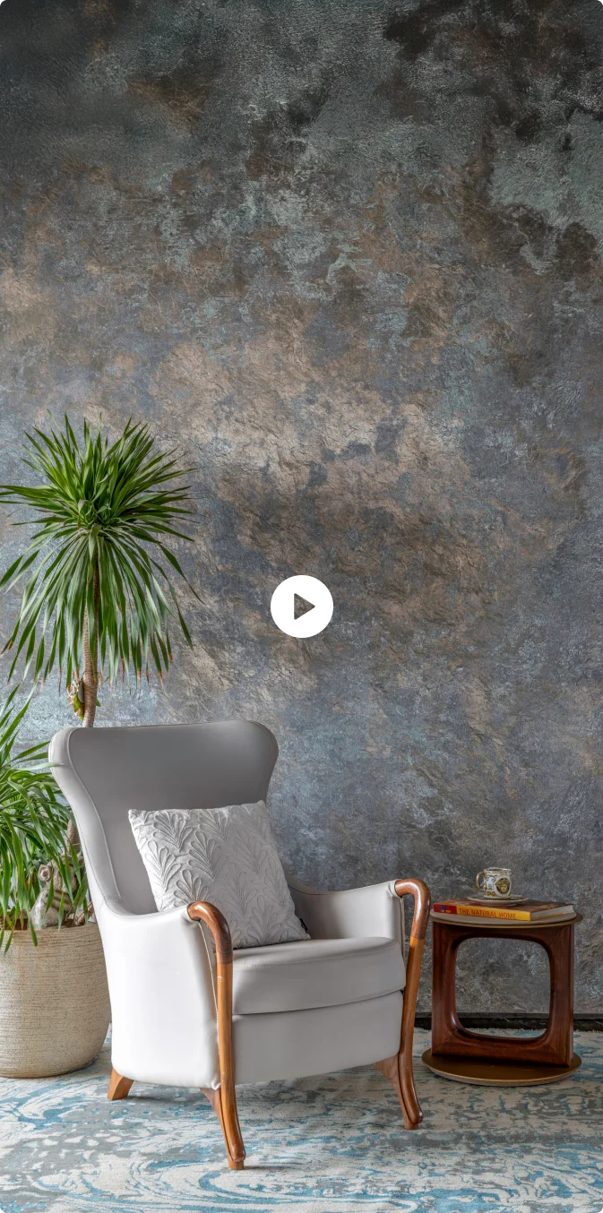 Experience Our Collections